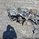 SN1FJE8PXNC229942 2022 Polaris Titan 800 Adventure auction photo thumbnail 14
