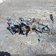 SN1FJE8PXNC229942 2022 Polaris Titan 800 Adventure auction photo thumbnail 6