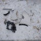 ZN661YUL9LX356693 2020 Maserati Levante S Luxury auction photo thumbnail 12