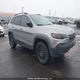 1C4PJMBX2ND511755 2022 Jeep Cherokee Trailhawk auction photo thumbnail 1
