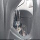 1FTYR2CMXJKA08549 2018 Ford Transit T-250 auction photo thumbnail 11