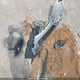 3CZRU6H20KM108312 2019 Honda Hr-V Sport auction photo thumbnail 12