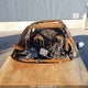 5NPE34AB7FH235723 2015 Hyundai Sonata Sport/Limited auction photo thumbnail 18