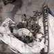 2BPSCYLA7LV000159 2020 Skidoo Summit auction photo thumbnail 7