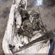 2BPSCYLA7LV000159 2020 Skidoo Summit auction photo thumbnail 9