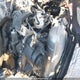 2BPSASMA1MV000273 2021 Skidoo Expedition auction photo thumbnail 10