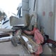 1XP5D49X15N846034 2005 Peterbilt 379 auction photo thumbnail 20