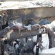 3C6UR5HL6RG129542 2024 Ram 2500 Tradesman auction photo thumbnail 14