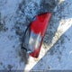 5FRYD4H87EB505677 2014 Acura Mdx Advance auction photo thumbnail 12
