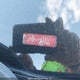 WDDGJ7HB1FG388601 2015 Mercedes-Benz C 63 Amg auction photo thumbnail 19