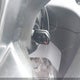 1FTYR2CM1KKA81018 2019 Ford Transit-250 auction photo thumbnail 11