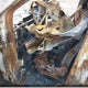 1FMCU9FD2HUC36245 2017 Ford Escape auction photo thumbnail 11