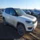 3C4NJDDB1KT666974 2019 Jeep Compass Trailhawk auction photo thumbnail 1