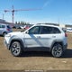 1C4PJMBS4GW155143 2016 Jeep Cherokee Trailhawk auction photo thumbnail 15