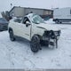 3C4NJDCB3KT729333 2019 Jeep Compass Limited auction photo thumbnail 1