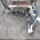 KMHLM4AG3PU537819 2023 Hyundai Elantra Sel auction photo thumbnail 10