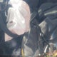 5NPDH4AE8DH289858 2013 Hyundai Elantra Gls/Limited auction photo thumbnail 11