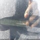 WBAPH73539A174351 2009 BMW 328 I auction photo thumbnail 9