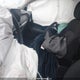 3KPF54AD7KE116732 2019 Kia Forte Ex auction photo thumbnail 15