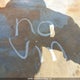 2FTHF25H2TCA48446 1996 Ford F250 auction photo thumbnail 9