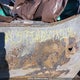 5TFJA5DB0PX121316 2023 Toyota Tundra Crewmax Limited auction photo thumbnail 9