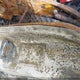 1FTBR2C8XRKB36178 2024 Ford Transit-250 Cargo auction photo thumbnail 9