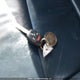 5FNYF48559B500694 2009 Honda Pilot Exl auction photo thumbnail 11