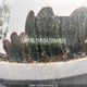 JM1BL1H50A1284828 2010 Mazda Mazda3 Gs/Gt auction photo thumbnail 9