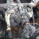 2C4RDGDG0CR335667 2012 Dodge Grand Caravan Crew auction photo thumbnail 15