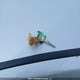 3N1AB6AP9AL709966 2010 Nissan Sentra 2.0/2.0S/Sr/2.0Sl auction photo thumbnail 11