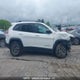 1C4PJMBXXLD570310 2020 Jeep Cherokee Trailhawk auction photo thumbnail 14