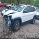 1C4PJMBXXLD570310 2020 Jeep Cherokee Trailhawk auction photo thumbnail 3