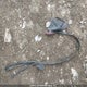 1G1JF6SB2C4129612 2012 Chevrolet Sonic Ltz auction photo thumbnail 12
