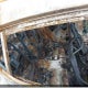 JM1BPALM9L1154228 2020 Mazda Mazda3 Sport auction photo thumbnail 8