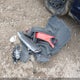 2HGFA1F65BH001749 2011 Honda Civic Se auction photo thumbnail 11