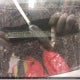 5TDKK3DC3BS097543 2011 Toyota Sienna Le 8 Passenger auction photo thumbnail 18