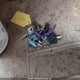 5SFPB3528CE243967 2012 Prowler Prowler auction photo thumbnail 11