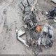 2BPSUMKE5KV000105 2019 Skidoo auction photo thumbnail 13
