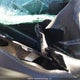 1FTEW1EP2PFD17771 2023 Ford F150 Supercrew auction photo thumbnail 9