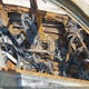 5XYPHDA5XKG548920 2019 Kia Sorento auction photo thumbnail 5