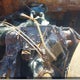 2HGFC2E50LH024477 2020 Honda Civic Sedan auction photo thumbnail 14