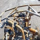 LCELV1Z56L6000170 2020 Cf Moto Cforce 1000 auction photo thumbnail 7
