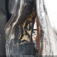 4V4NC9GH68N481386 2008 Volvo Vn L auction photo thumbnail 18