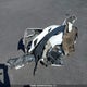 1G1YB2D41N5122357 2022 Chevrolet Corvette auction photo thumbnail 11