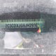2C3CDXJG9JH293033 2018 Dodge Charger Gt auction photo thumbnail 9