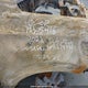 1GNSKGKL3NR234940 2022 Chevrolet Suburban High Country auction photo thumbnail 9