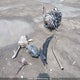 2HGFC2F59MH015499 2021 Honda Civic Sedan auction photo thumbnail 11