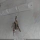 1TC3B2283W1205809 1998 Coachmen Catalina auction photo thumbnail 11
