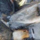 2FMDK4KC1ABB30696 2010 Ford Edge Limited auction photo thumbnail 9