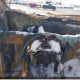 3GTU9CED5MG258083 2021 GMC Sierra 1500 auction photo thumbnail 14